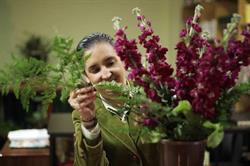 Horario de apertura El Desván Floristas 2.0, Talavera de la Reina