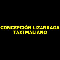 Horario de apertura Concepción Lizarraga Taxi Maliaño, 