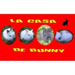 Horario de apertura La Casa De Bunny, Torres de la Alameda