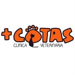 Horario de apertura Clínica Veterinaria MasCotas, Logroño