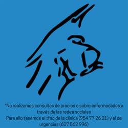 Horario de apertura Centro Veterinario Coria, Coria del Río