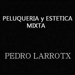 Horario de apertura Pedro Larrotx Peluquería Mixta y Estética, Pamplona