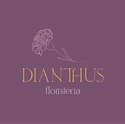 Horario de apertura Floristería Dianthus, Llerena