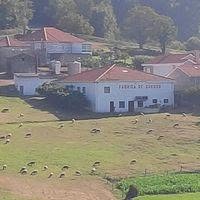 Horario de apertura Quesos Feijoo, Celanova