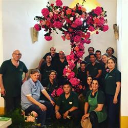 Horario de apertura Flores Búcaro Sevilla, 