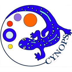 Horario de apertura Cynops Castilla, Burgos