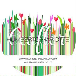 Horario de apertura Floristería Ocaflor, Ocaña