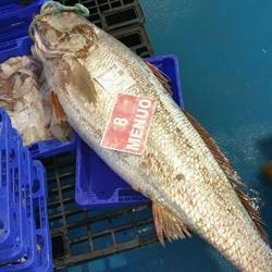 Horario de apertura Pescaderia el menuo, Sanlúcar de Barrameda