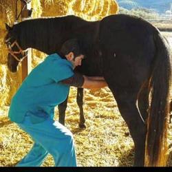 Horario de apertura Centro Veterinario Albeitar, Priego de Córdoba