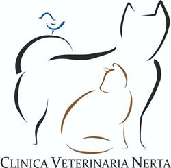 Horario de apertura Nerta cb, Villamuriel de Cerrato