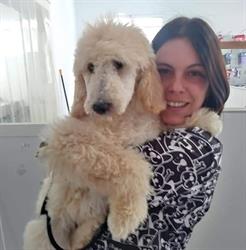 Horario de apertura Peluqueria canina yesi, Puerto de Sagunto