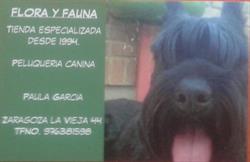 Flora y Fauna en Zaragoza (San José) - Horario de apertura