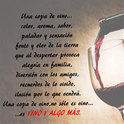 Horario de apertura Vino y Algo Más, Logroño