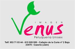 Horario de apertura Imagen venus, Cazorla