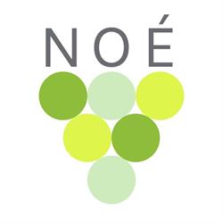 Horario de apertura Bar Noé, Pamplona