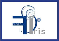 Horario de apertura Flors Iris Cb, Tavernes de la Valldigna