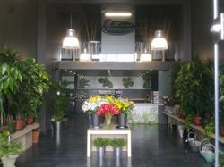 Horario de apertura Flores Valdecilla, Santander