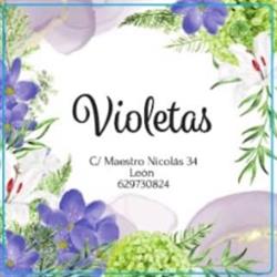 Horario de apertura Floristeria Violetas, León
