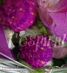 Horario de apertura Floristeria Espiral, Lleida