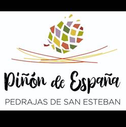 Horario de apertura Excelentisimo ayuntamiento de pedrajas de san esteban, Pedrajas de San Esteban
