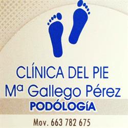 Horario de apertura Fitsalud, Rota