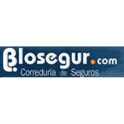 Horario de apertura Blosegur, Burgos