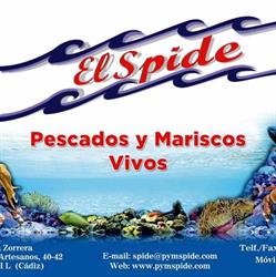 Horario de apertura Pescados y mariscos spide, Conil de la Frontera