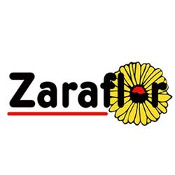 Horario de apertura Zaraflor, Huesca
