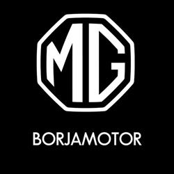 Horario de apertura Borjamotor, S. A., Alicante