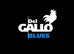 Horario de apertura Gallo Blues, Espinardo