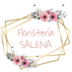 Horario de apertura Floristeria Salena, Icod de los Vinos