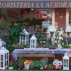 Horario de apertura Floristería La Aurora, Ponferrada