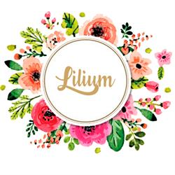 Horario de apertura Lilium floristeria, Elche