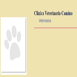 Horario de apertura Clínica Veterinaria Camino, Cistierna