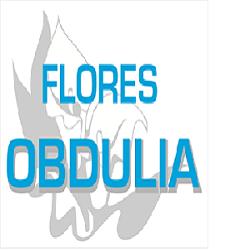 Horario de apertura Flores Obdulia, A Coruña