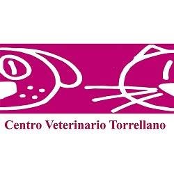 Horario de apertura Centro Veterinario Torrellano, 