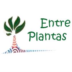 Horario de apertura Santiveri Tui - Conéctate, 