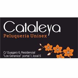 Horario de apertura Peluquería Unisex Cataleya, Arrecife