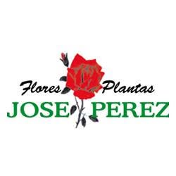 Horario de apertura Flores Y Plantas José Pérez, Heras