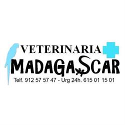 Clínica Veterinaria Madagascar en Madrid (Fuencarral-El Pardo) - Horario de apertura
