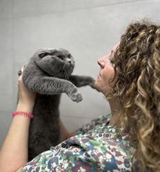 Horario de apertura Clínica Veterinaria Las Cigüeñas, Alfaro