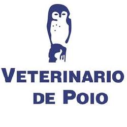 Horario de apertura Veterinario De Poio, Pontevedra