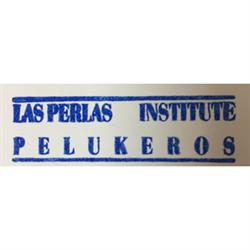 Horario de apertura ACADEMIA DE PELUQUERIA Y BARBER-SHOP CENTER NEW STYLER, Jaén