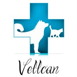 Horario de apertura Clínica Veterinaria Vellcan, Coslada