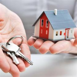 Horario de apertura Inmobiliaria O Ferrado, Ribeira