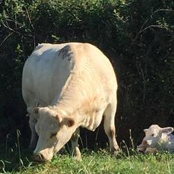 Horario de apertura Herderfarm Herederos De Emiliano Rodríguez García, Zarza de Granadilla