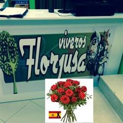 Horario de apertura Viveros Florjusa S.L., Salamanca