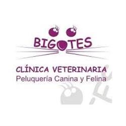 Horario de apertura Clínica Veterinaria Bigotes, Palencia