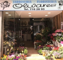 Horario de apertura Floristeria Olivares, Sabadell