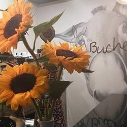 Horario de apertura Restaurante El Buche, León